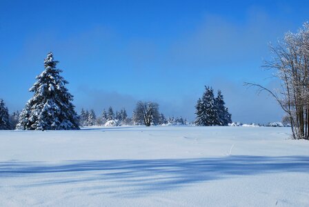 White winter dream landscape photo