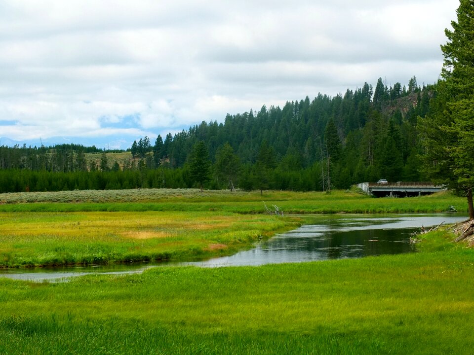 Yellowstone montana