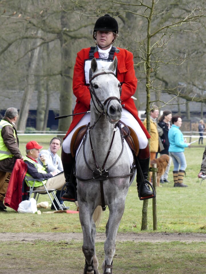 Hunting horses drag