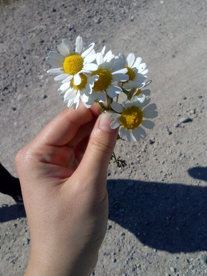 Happiness solar el