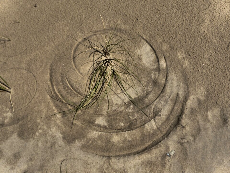 Wind image circles in the sand drawn photo