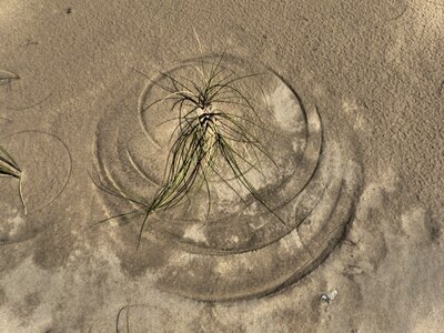 Wind image circles in the sand drawn photo