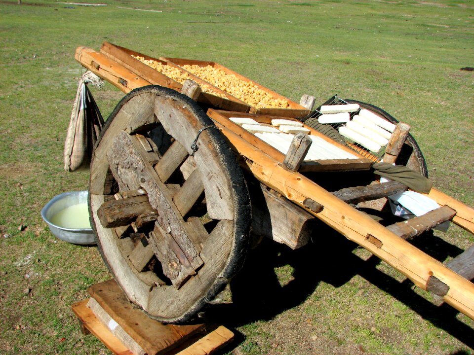 Cheese drying mongolia step