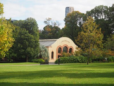 Green melbourne fitzroy photo