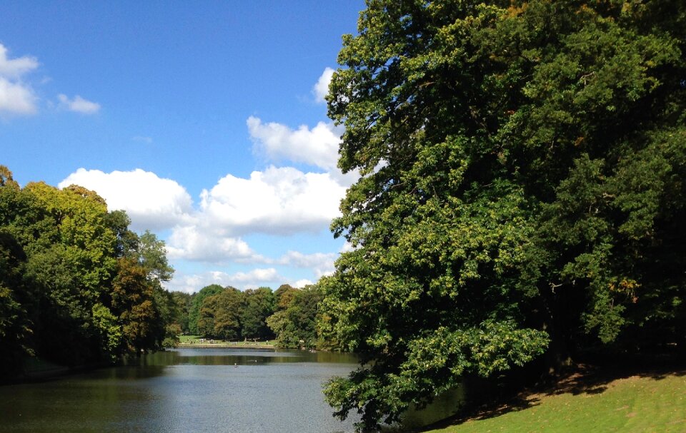 Nature green landscape