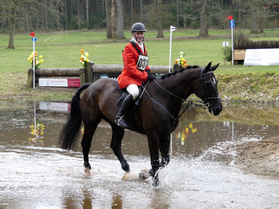 Hunting horses drag