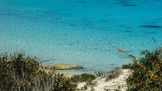 Sea crystal clear photo