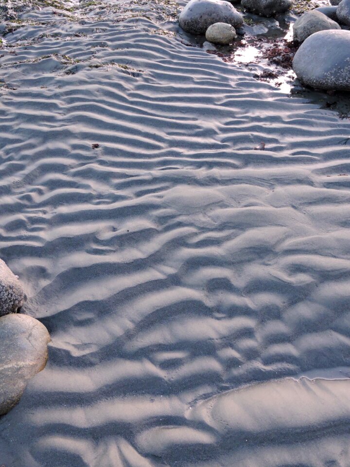 Coast sea coastline