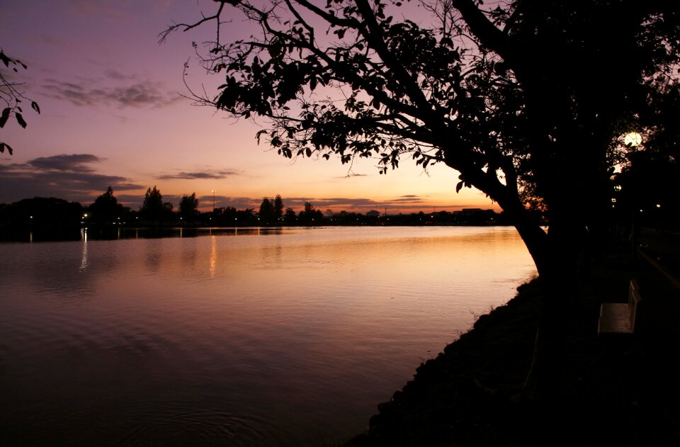 Nature sun scenic