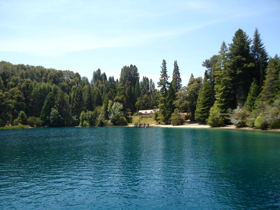 Nature lake forest