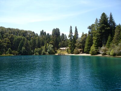 Nature lake forest
