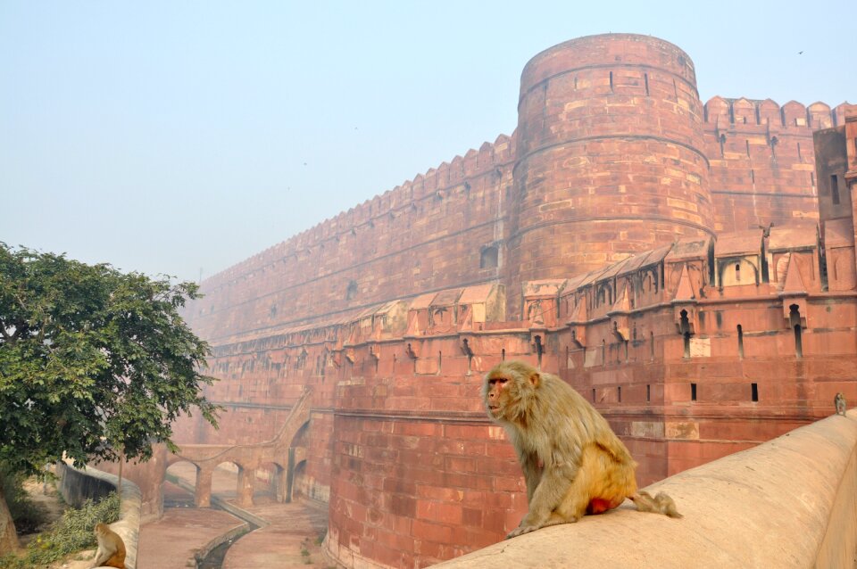 The red fort building architecture
