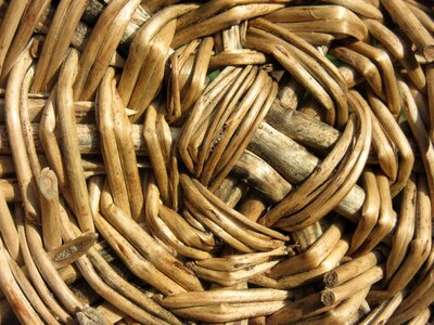 Close up braided tank wattle
