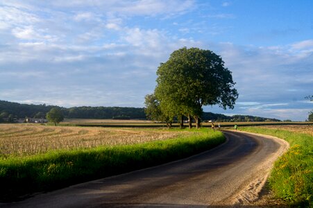 Country road france nature photo