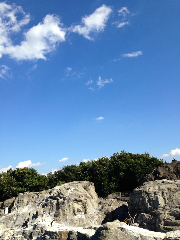 Aquarium penguin blue sky