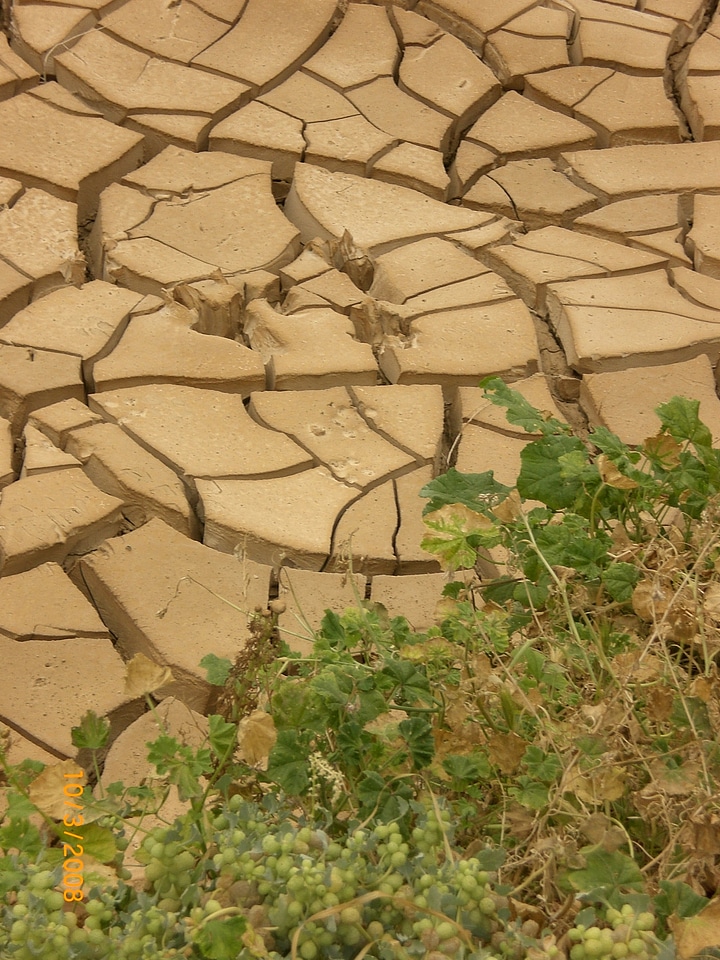 Cracks cracked dehydrated