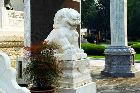 Lion statue guardian photo