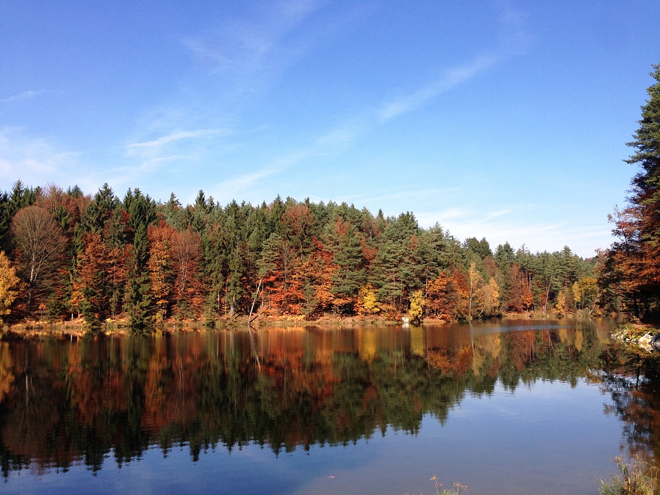Fall color rest silent
