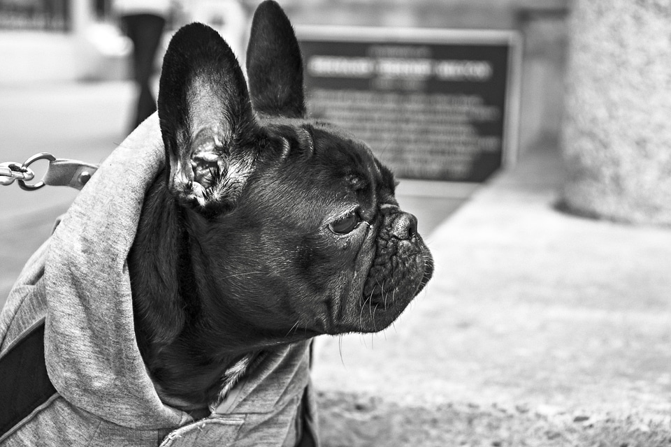 Head looking observing