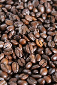 Coffee grain coffee beans