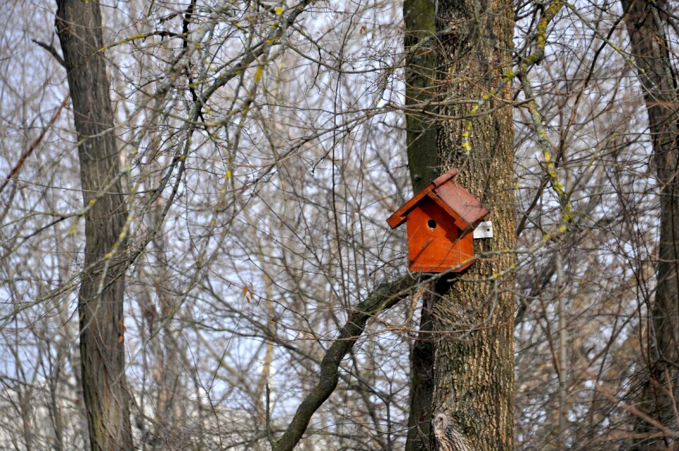 Nature park forest