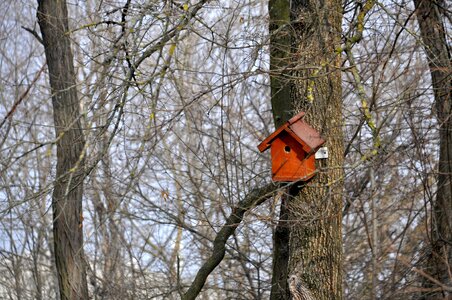 Nature park forest