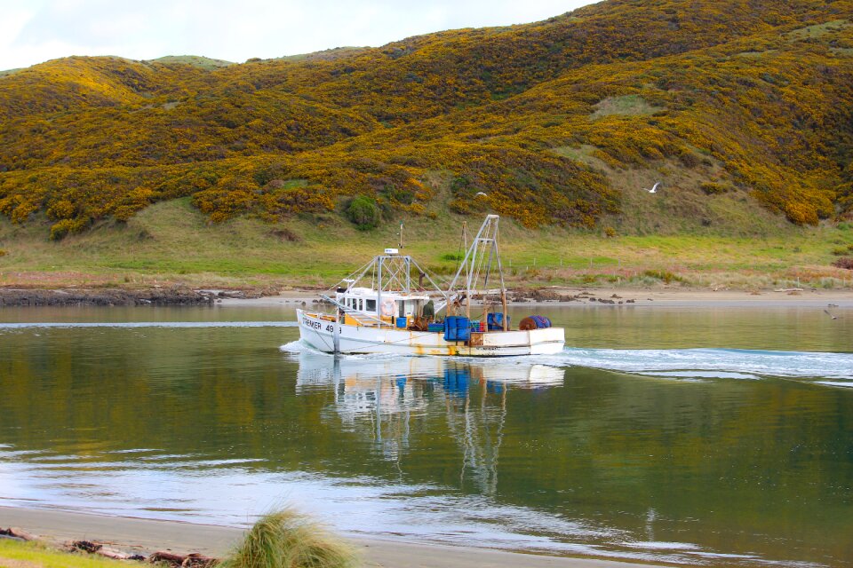 Sea nature fishing