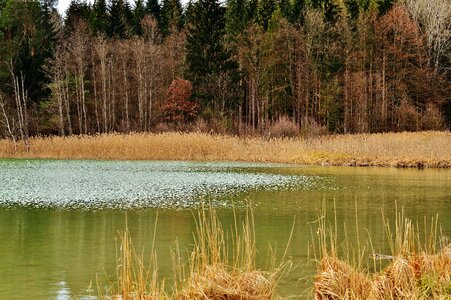 Waters nature lake photo