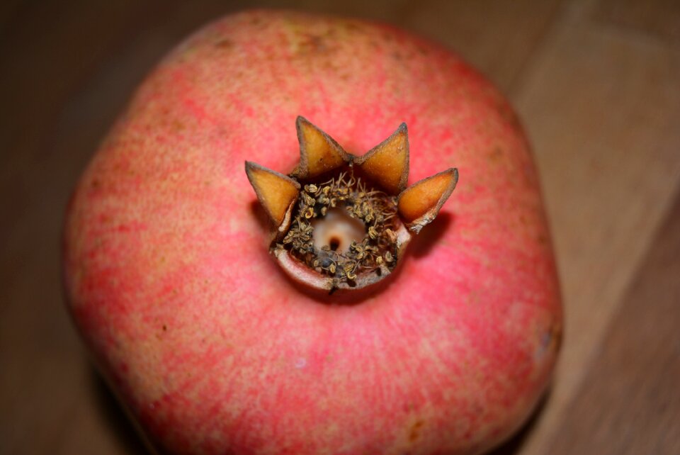 Healthy punica granatum red