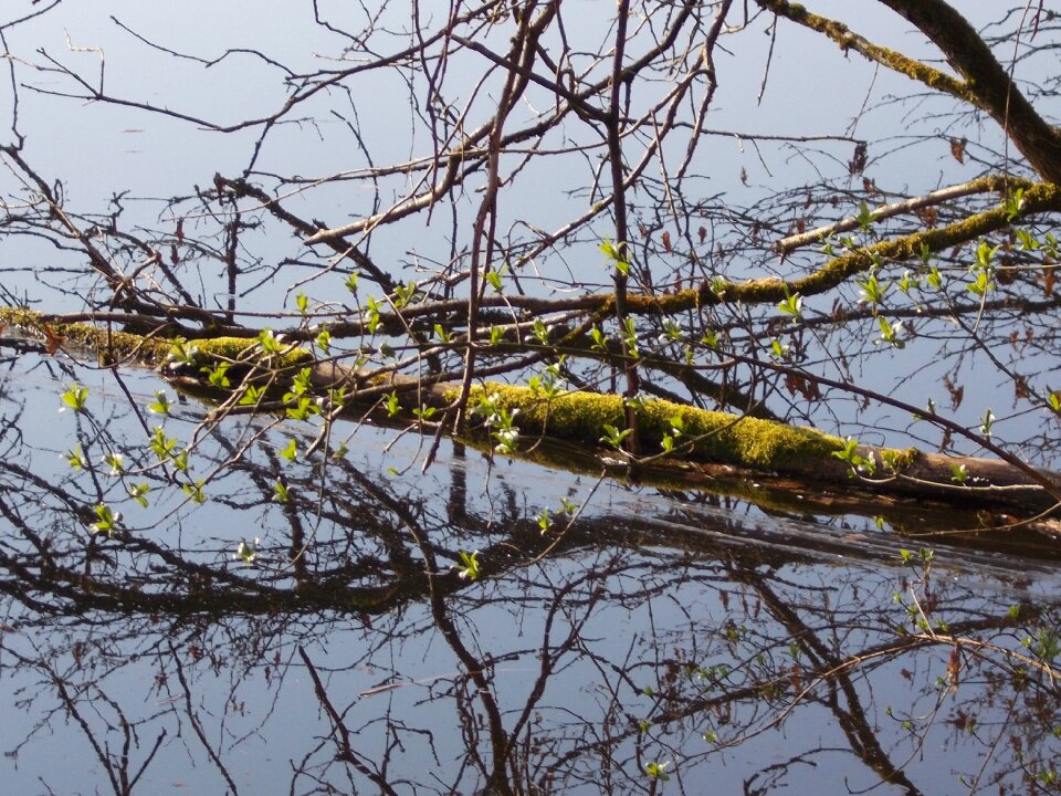 Water nature environment