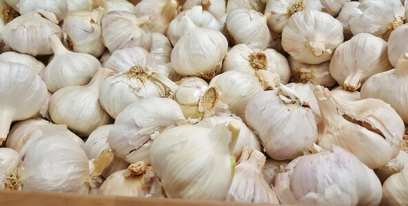 Food grocery ingredient photo