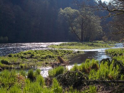 Of course rest waters