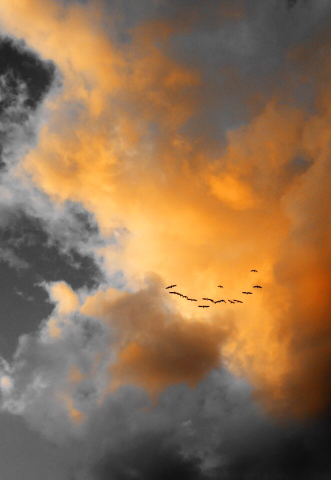 Natural cloudscape