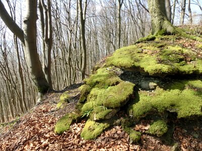 Schaumburg weser uplands landscape
