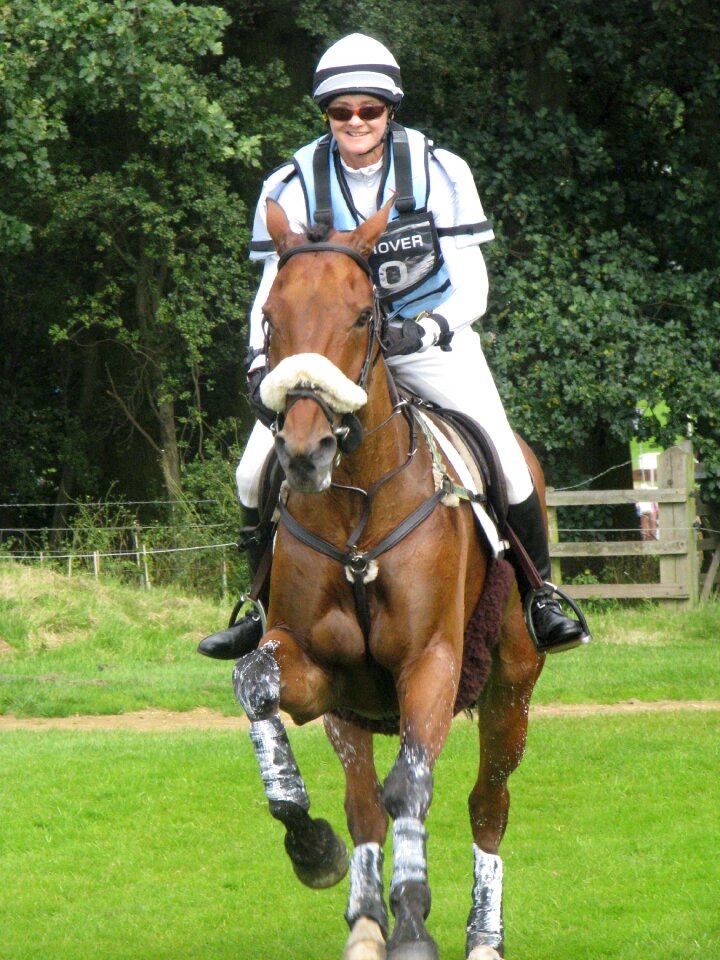 Cross outdoors equestrian