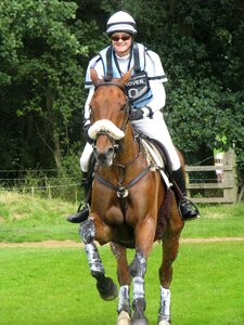 Cross outdoors equestrian