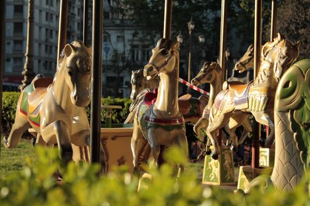 Buenos aires fun horse