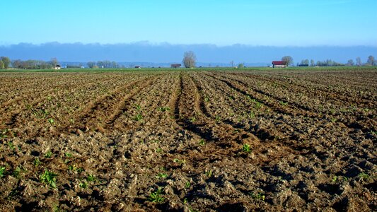 Agriculture fields landscape
