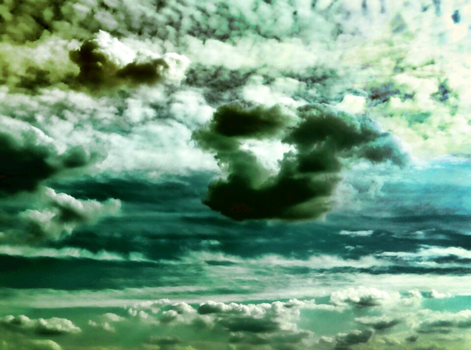 Clear up nature covered sky