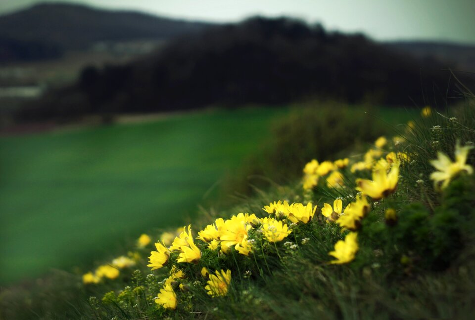 The slope hill nature