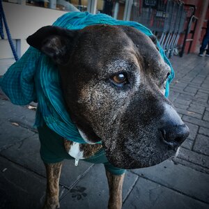 Elderly dressed up scarf