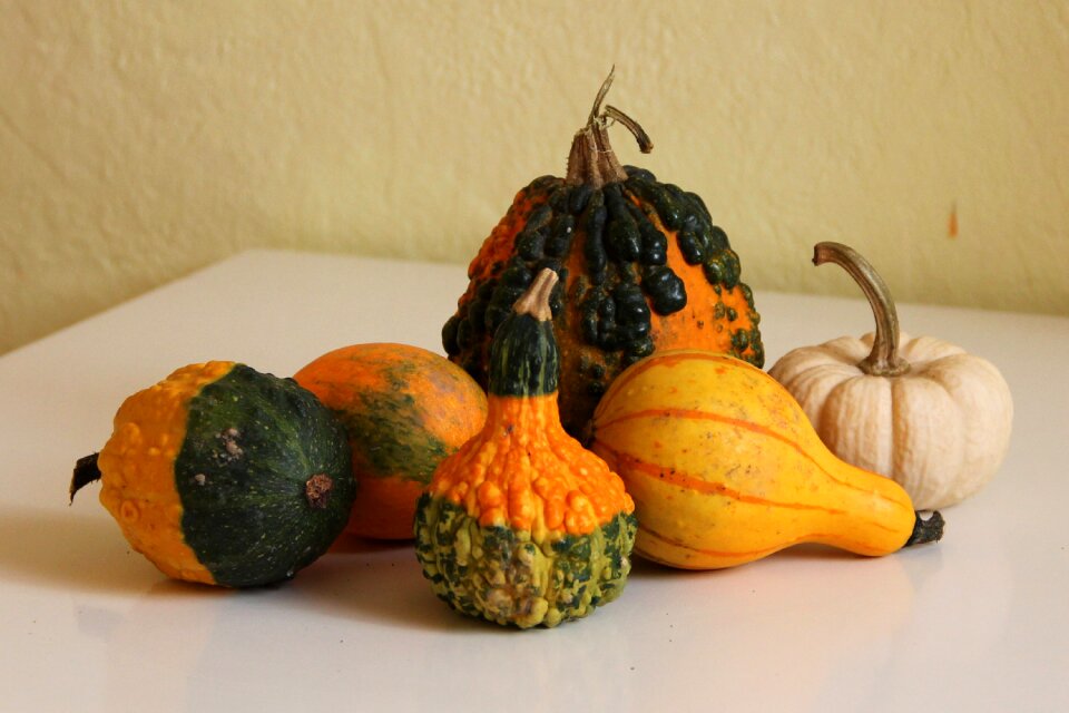 Pumpkin crop autumn