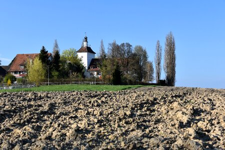 Agriculture tree earth