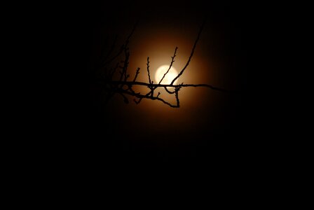 Moon dark boomn saint nicholas photo