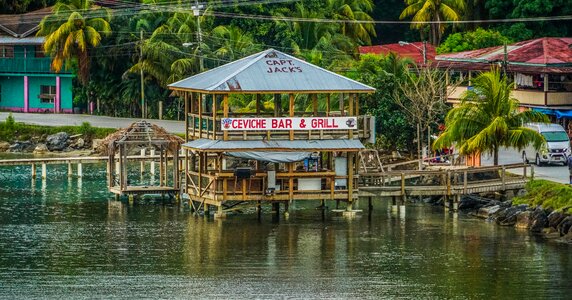 Caribbean tropical nature