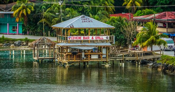 Caribbean tropical nature photo