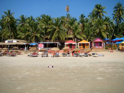 India beach coastline photo