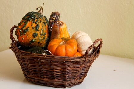 Crop basket autumn