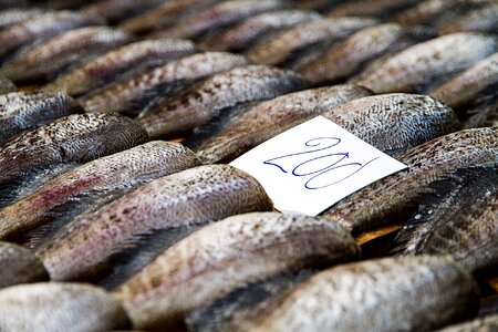 Pla salit pla salit salted salit dried fish