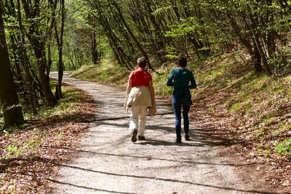 Away promenade migratory path